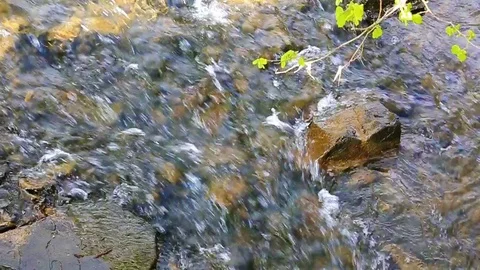 River stones on transparent water background. Stock Footage 76834079