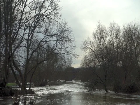 The River Stour in Dorset in Winter Stock Footage 80427686