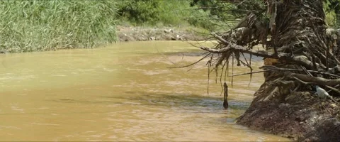 River stream and banks polluted with junk 4K slomo anamorphic video Stock Footage 247287758