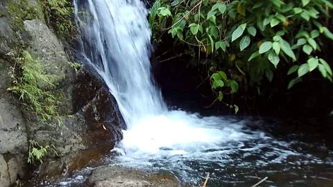 River stream and kalibanteng a small waterfall on muria mountain , java Stock Footage 124892727