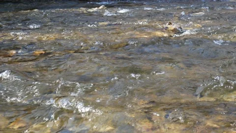 River, stream and shore Stock Footage 131005106