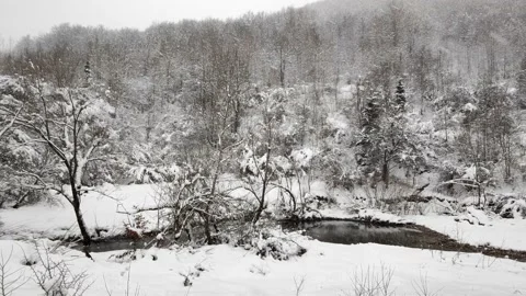 River stream and snow falling. Mountain area during the winter season Stock Footage 170389429