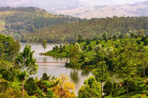 River Stream Between Mountain Hill Munnar 写真素材