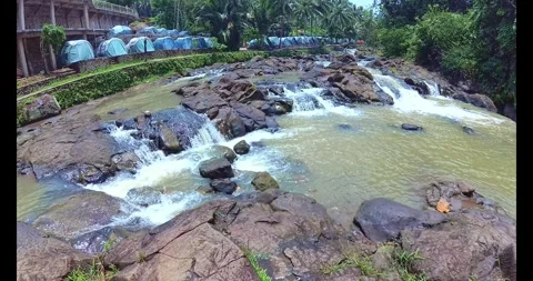 River stream with clear water flowing between tropical forest rocks Stock Footage 317731917