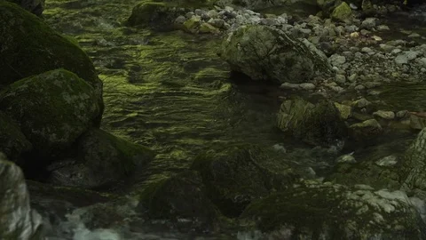 River stream close up Stock Footage
