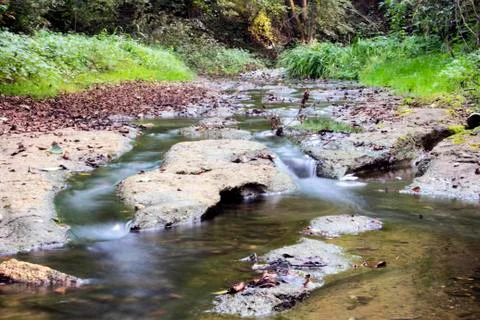 River stream during fall Stock Photos