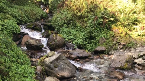 River stream during trekking annapurna base camp 스톡 동영상 98893073