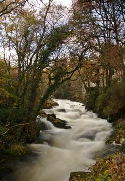 River stream with fast and high flow in autumn Stock Photos