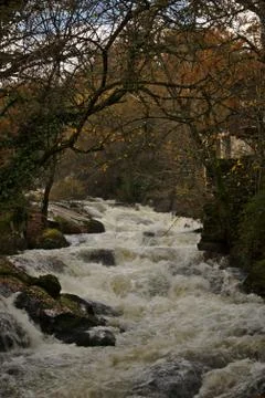 River stream with fast and high flow in autumn Stock Photos