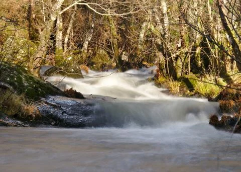 River stream with fast and high flow in autumn Stock Photos