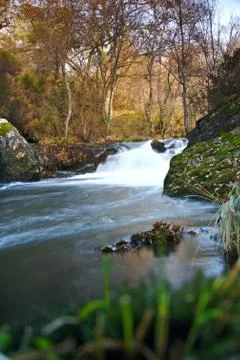 River stream with fast and high flow in autumn Stock Photos