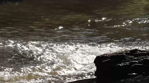 River stream flowing and vaporizing in morning and bamboo bridge over the river. Stock Footage 121090468