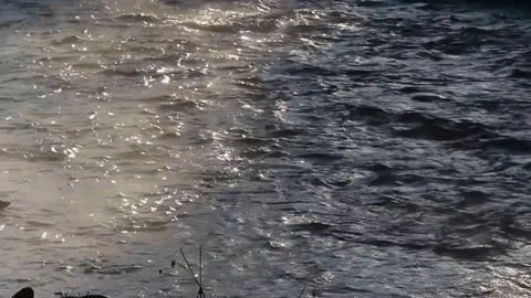 River stream flowing and vaporizing in morning. Beautiful foggy river. Stock Footage 121091251
