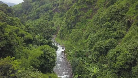 River Stream Flowing Between Mountain Hills and Dense Forest Video stock 345715237