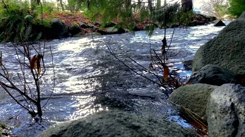 River Stream Flowing Close Up. 4k. Slow Motion. Stock Footage 145297634