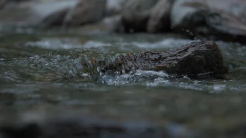 River Stream Flowing Over A Rock In Slow Motion, Close Up 스톡 동영상 307706787