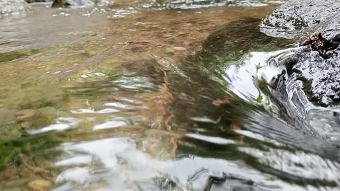 River Stream Flowing Over Rocks Close View Stock Footage 329898489