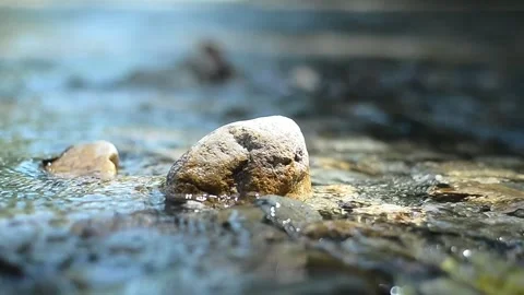 River Stream Flowing over Rocks Clear Water Motion Nature Background Stock Footage 337517732