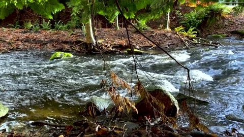 River Stream Flowing Panoramic Shot . 4k. Slow Motion. Stock Footage 145298117