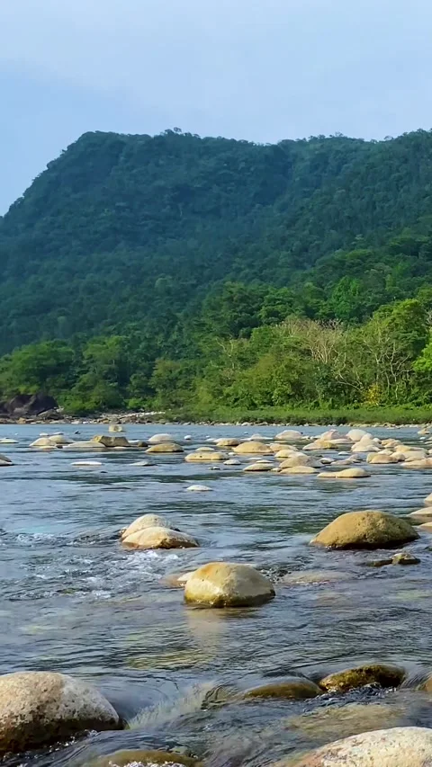 River stream flowing past rocks against lush green mountain background in Stock Footage 345667611