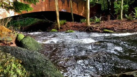 River Stream Flowing under the Brick Arch Bridge. Close Up. 4k. Slow Motion. Stock Footage 145297673