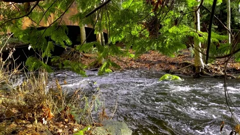 River Stream Flowing under the Brick Arch Bridge. 4k. Slow Motion. Stock Footage 145297921