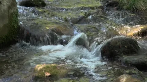 River stream flowing water rocks stones mountain forest Stock Footage 317829165