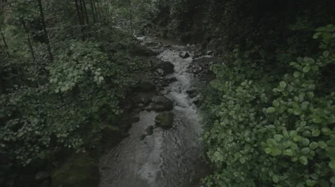 River Stream Stock Footage 48392816