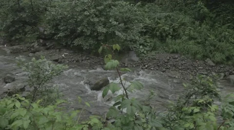 River Stream Stock Footage 48393149