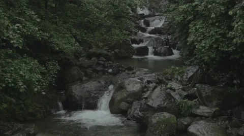 River Stream Stock Footage 48393250