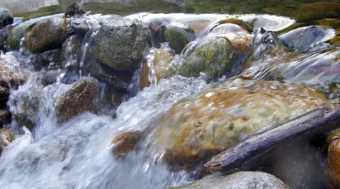 River stream 스톡 동영상 58595385