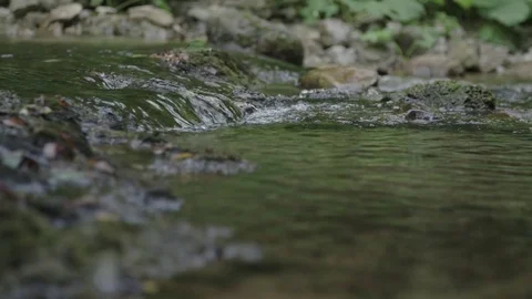 River stream Stockbeeldmateriaal 76188976