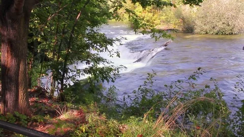 RIVER STREAM Stock Footage 83657124