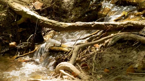 River Stream 動画素材 94397655