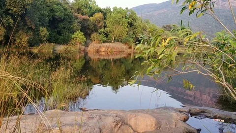 River stream Video stock 124456236