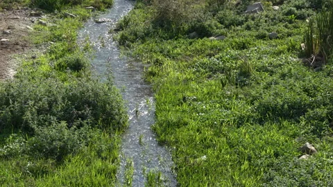 River stream Stock Footage 230098306