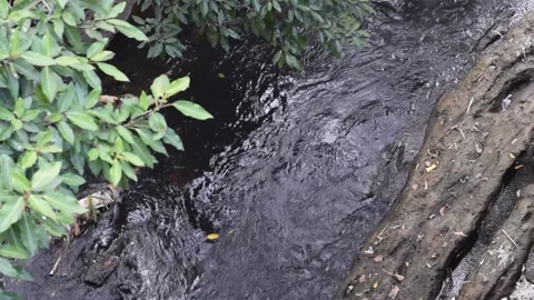 River Stream Video stock 237157112