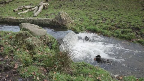 River Stream Stock Footage 256161328