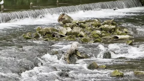 River stream Stock Footage 282217887
