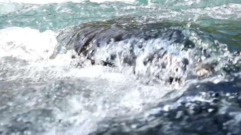 River Stream footage, river flowing between rocks in nature Stock Footage 313817387
