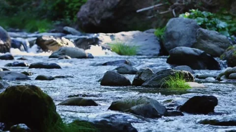 River Stream footage, river flowing between rocks in nature Stock Footage 313817433