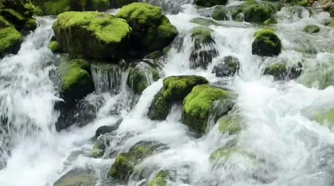 River Stream footage, river flowing between rocks in nature Stock Footage 313817458