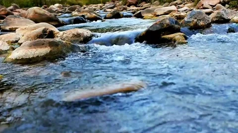 River Stream footage, river flowing between rocks in nature Stock Footage 313817468
