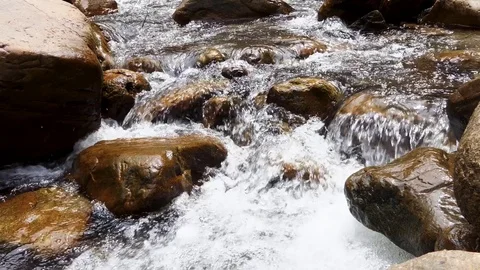 River stream in the forest Stock-Footage 83718412