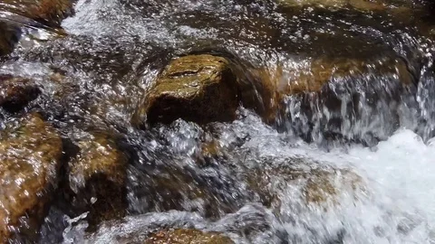 River stream in the forest Stock-Footage 83718447