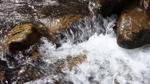 River stream in the forest 库存影片 83718448