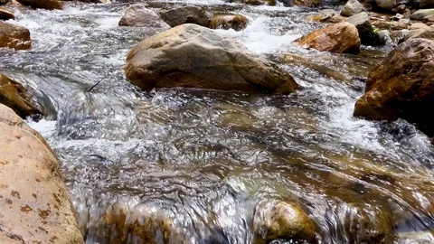 River stream in the forest Stock-Footage 83718490