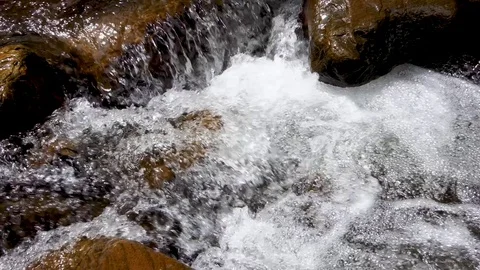 River stream in the forest Stock-Footage 83718492