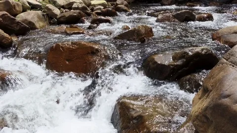 River stream in the forest Stock-Footage 83718548