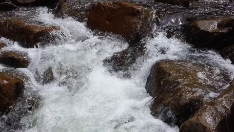 River stream in the forest Видео 83721245